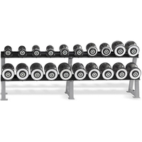 HAMPTON Eclipse™ CP-KECL-A 2,5-25 кг (10 пар без стойки)