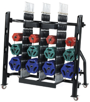 HAMPTON Gel Pump System Club Pack CP-KGP (40 шт 5 кг дисков, 40 шт 2,5 кг дисков, 40 шт 1.25 кг дисков + 20 грифов + 20 пар замков RSLC Collars + 1 стойка GPS-R на 4 секции)